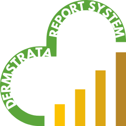 DS Report Solution logo